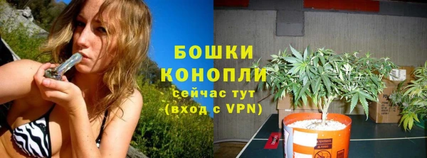 гидра Армянск