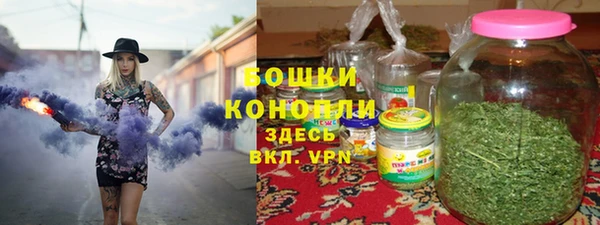 прущая мука Арсеньев