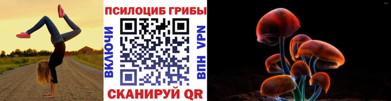 дарнет шоп  Калязин  hydra рабочий сайт  Псилоцибиновые грибы прущие грибы 